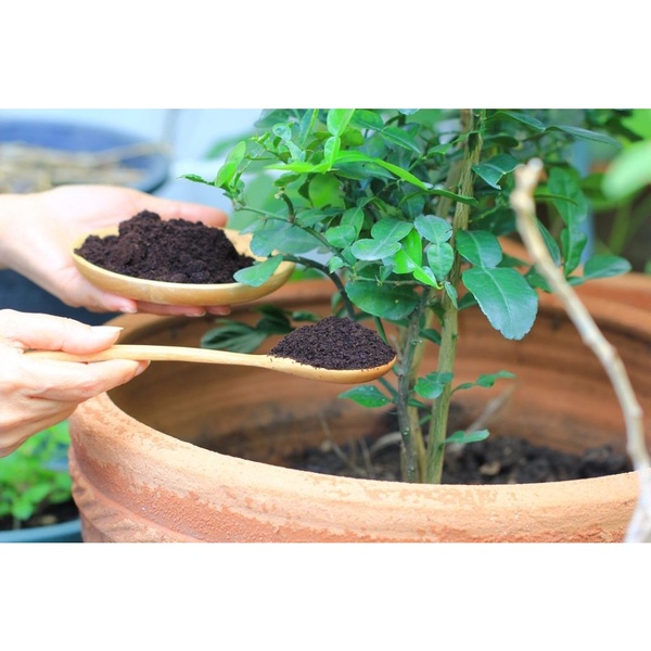 Substrato Terra Vegetal Adubada Com Humus De Minhoca 20kg (cópia) - Imagem 2