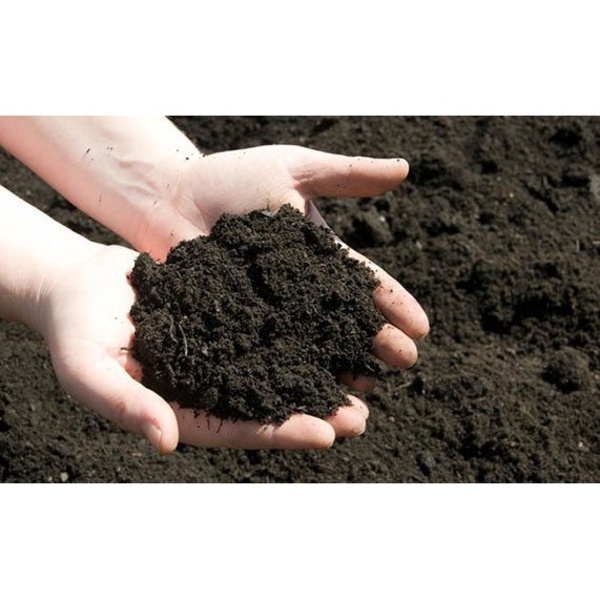 Substrato Terra Vegetal Adubada Com Humus De Minhoca 20kg (cópia) - Imagem 4